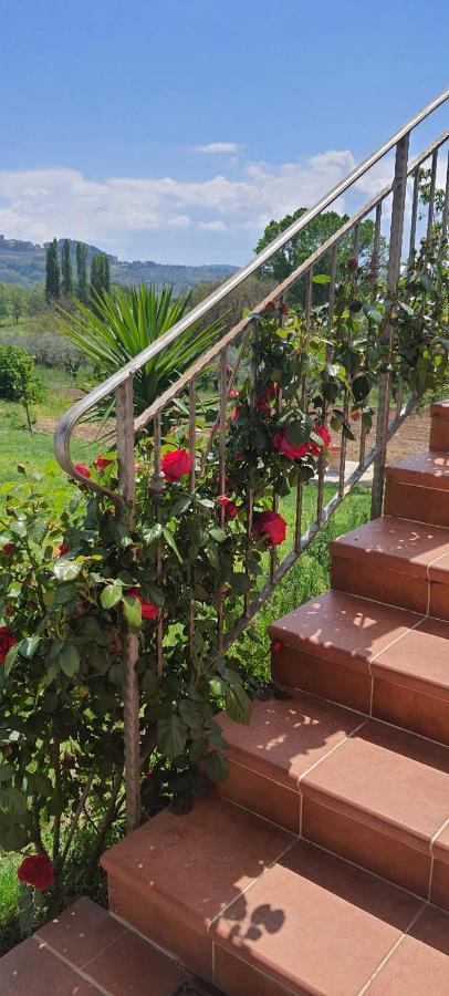 Casa Vacanze Cerreto 3 Miglianico Exterior foto